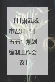 甘肃武威市召开“十五五”规划编制工作会议