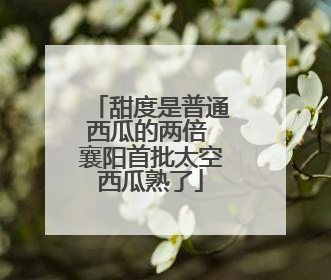 甜度是普通西瓜的两倍 襄阳首批太空西瓜熟了