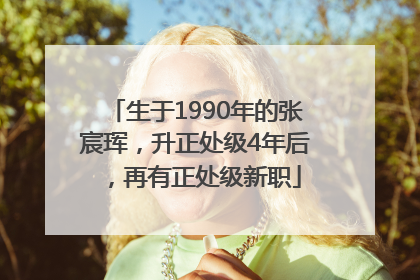 生于1990年的张宸珲，升正处级4年后，再有正处级新职