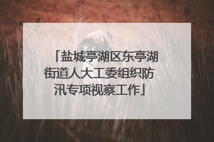 盐城亭湖区东亭湖街道人大工委组织防汛专项视察工作
