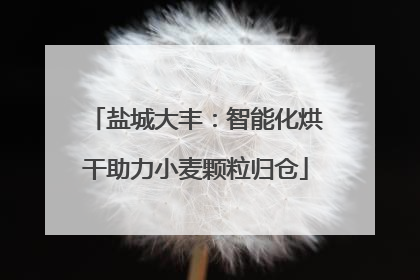 盐城大丰：智能化烘干助力小麦颗粒归仓