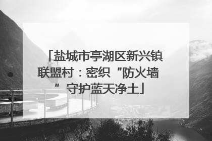 盐城市亭湖区新兴镇联盟村：密织“防火墙”守护蓝天净土
