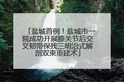 盐城首例！盐城市一院成功开展膝关节后交叉韧带保残三明治式解剖双束重建术