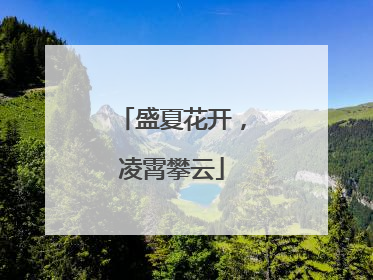 盛夏花开，凌霄攀云