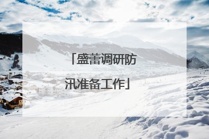 盛蕾调研防汛准备工作