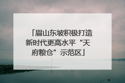 眉山东坡积极打造新时代更高水平“天府粮仓”示范区