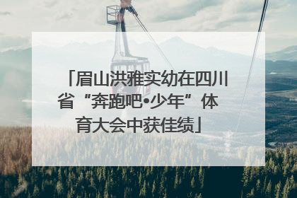 眉山洪雅实幼在四川省“奔跑吧•少年”体育大会中获佳绩