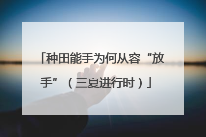 种田能手为何从容“放手”（三夏进行时）