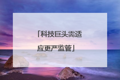 科技巨头需适应更严监管