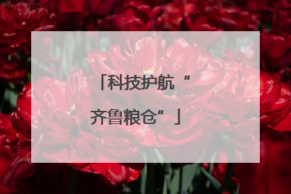 科技护航“齐鲁粮仓”