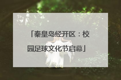 秦皇岛经开区：校园足球文化节启幕