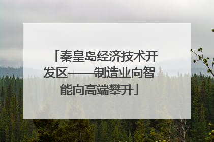秦皇岛经济技术开发区——制造业向智能向高端攀升
