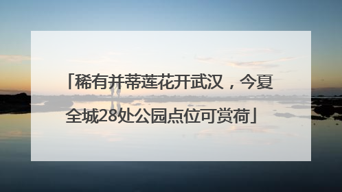 稀有并蒂莲花开武汉，今夏全城28处公园点位可赏荷