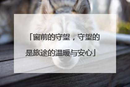 窗前的守望，守望的是旅途的温暖与安心