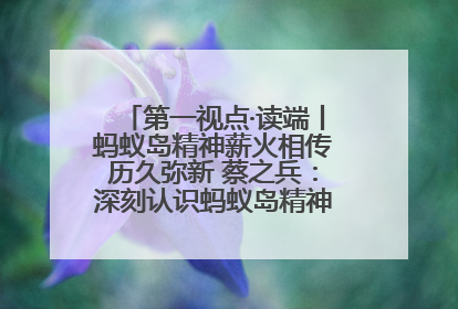 第一视点·读端丨蚂蚁岛精神薪火相传历久弥新 蔡之兵：深刻认识蚂蚁岛精神的“精气神”