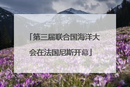 第三届联合国海洋大会在法国尼斯开幕