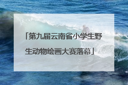 第九届云南省小学生野生动物绘画大赛落幕