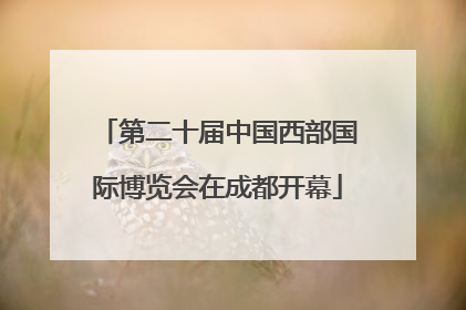 第二十届中国西部国际博览会在成都开幕