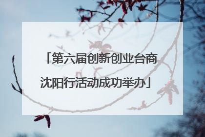 第六届创新创业台商沈阳行活动成功举办