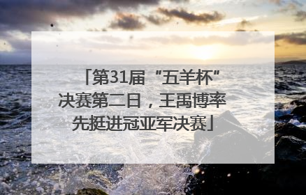 第31届“五羊杯”决赛第二日，王禹博率先挺进冠亚军决赛