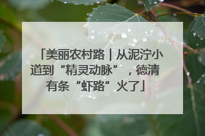 美丽农村路｜从泥泞小道到“精灵动脉”，德清有条“虾路”火了