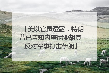 美以官员透露：特朗普已告知内塔尼亚胡其反对军事打击伊朗