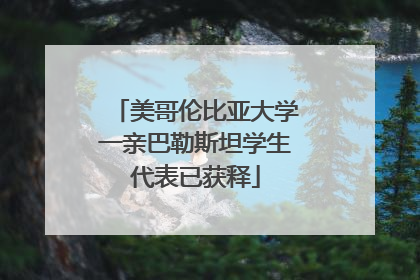 美哥伦比亚大学一亲巴勒斯坦学生代表已获释