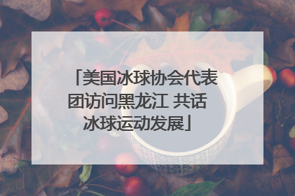 美国冰球协会代表团访问黑龙江 共话冰球运动发展
