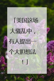 美国这场大骚乱中，有人提出一个大胆想法！
