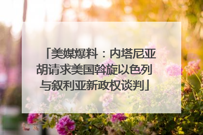 美媒爆料：内塔尼亚胡请求美国斡旋以色列与叙利亚新政权谈判