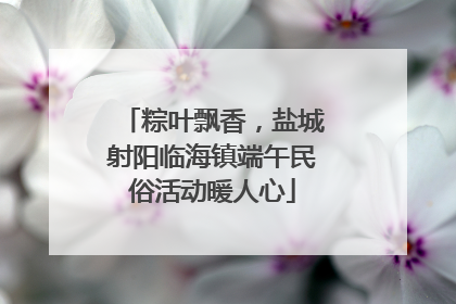 粽叶飘香，盐城射阳临海镇端午民俗活动暖人心