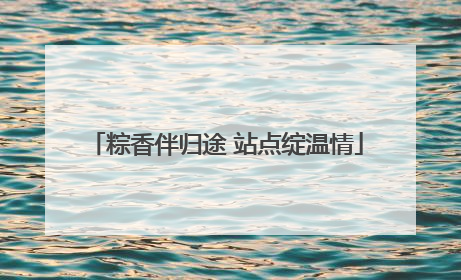 粽香伴归途 站点绽温情