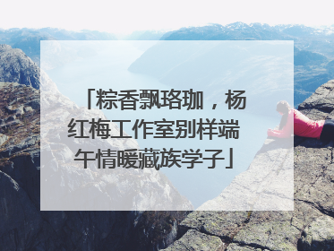 粽香飘珞珈，杨红梅工作室别样端午情暖藏族学子