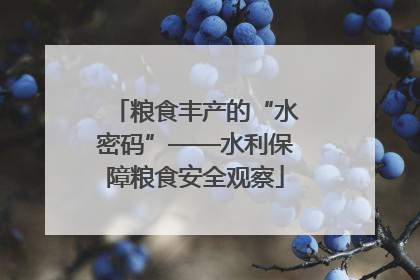 粮食丰产的“水密码”——水利保障粮食安全观察