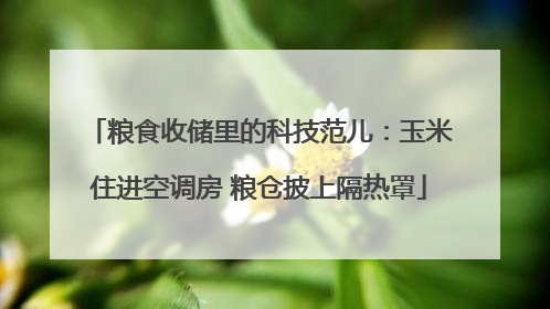 粮食收储里的科技范儿：玉米住进空调房 粮仓披上隔热罩