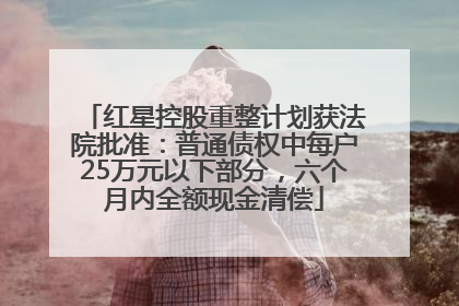 红星控股重整计划获法院批准：普通债权中每户25万元以下部分，六个月内全额现金清偿