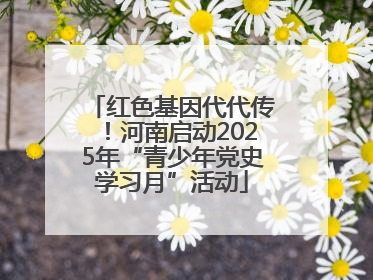 红色基因代代传！河南启动2025年“青少年党史学习月”活动