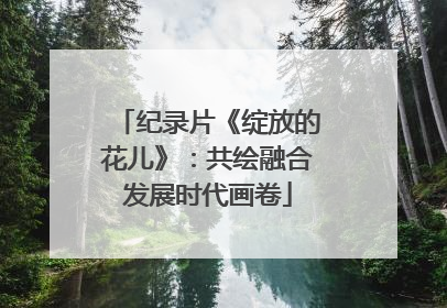 纪录片《绽放的花儿》：共绘融合发展时代画卷