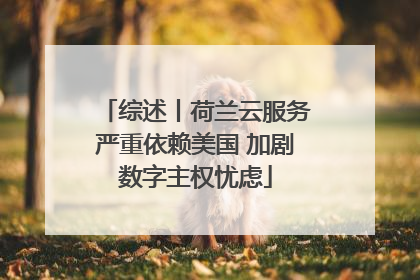 综述丨荷兰云服务严重依赖美国 加剧数字主权忧虑