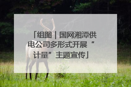 组图｜国网湘潭供电公司多形式开展“计量”主题宣传
