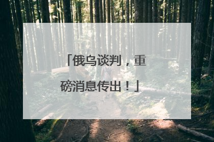 俄乌谈判，重磅消息传出！