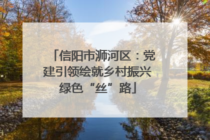 信阳市浉河区：党建引领绘就乡村振兴绿色“丝”路