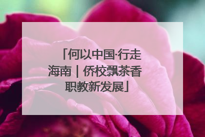何以中国·行走海南｜侨校飘茶香 职教新发展