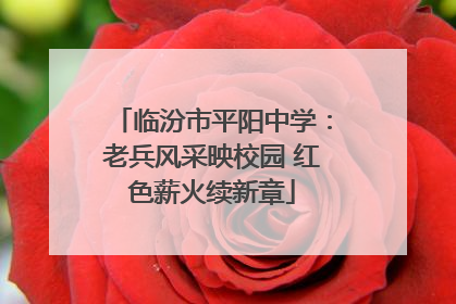 临汾市平阳中学：老兵风采映校园 红色薪火续新章