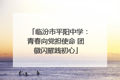 临汾市平阳中学：青春向党担使命 团徽闪耀践初心