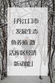 丹江口市：发展生态鱼养殖 激活库区经济新动能