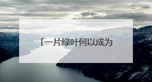 一片绿叶何以成为乡村振兴“金叶”