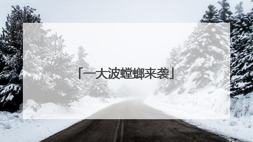 一大波螳螂来袭