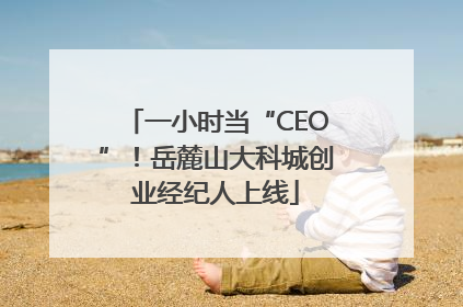 一小时当“CEO”！岳麓山大科城创业经纪人上线