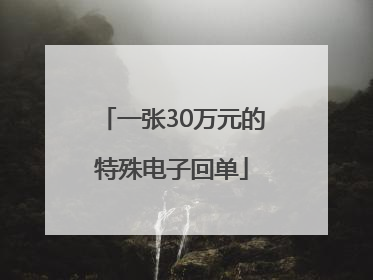 一张30万元的特殊电子回单